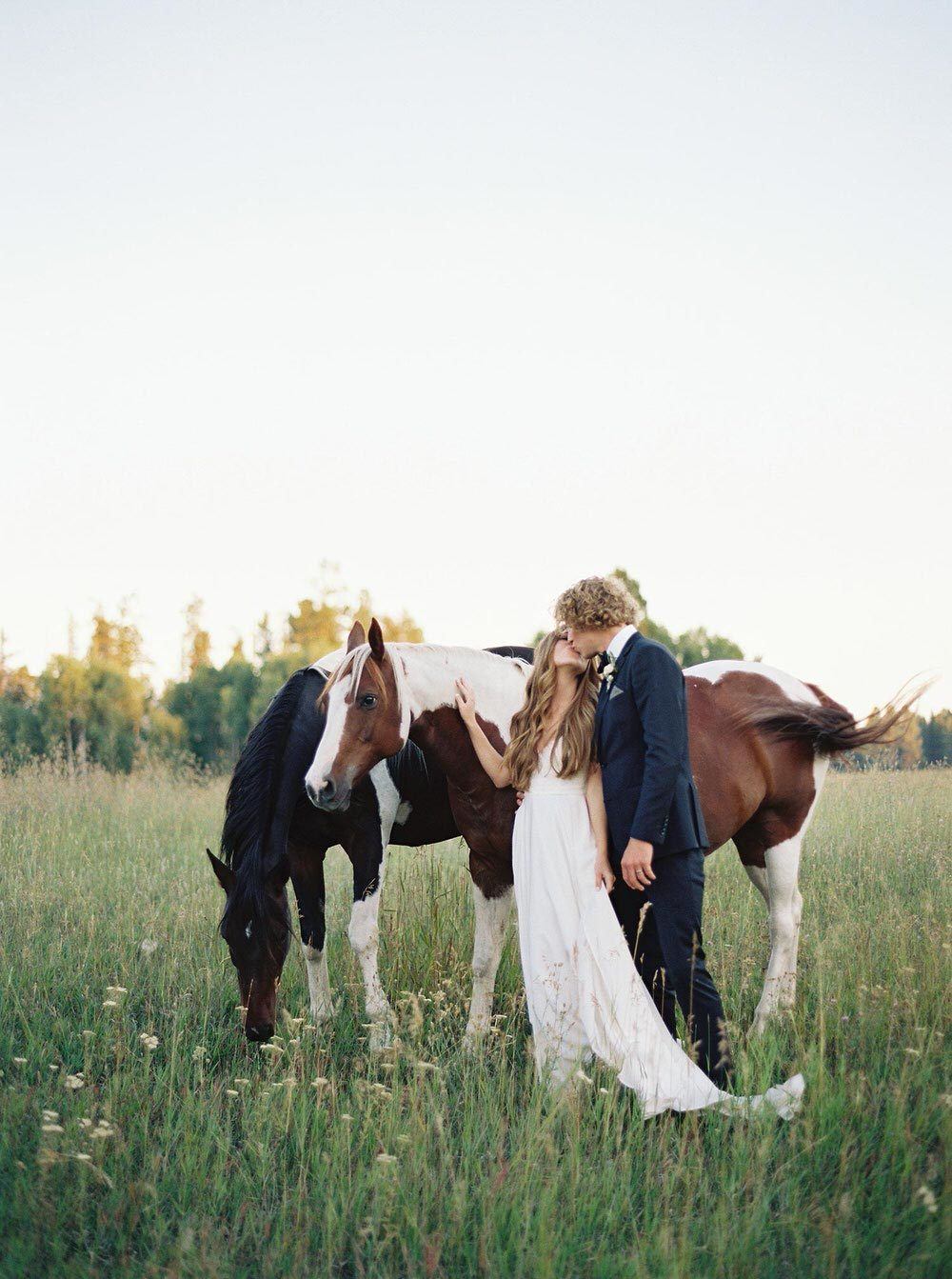 bride and groom kiss in the Montana mountains with 2 horses
